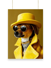 Cool Dog | Cool - Poster | 32
